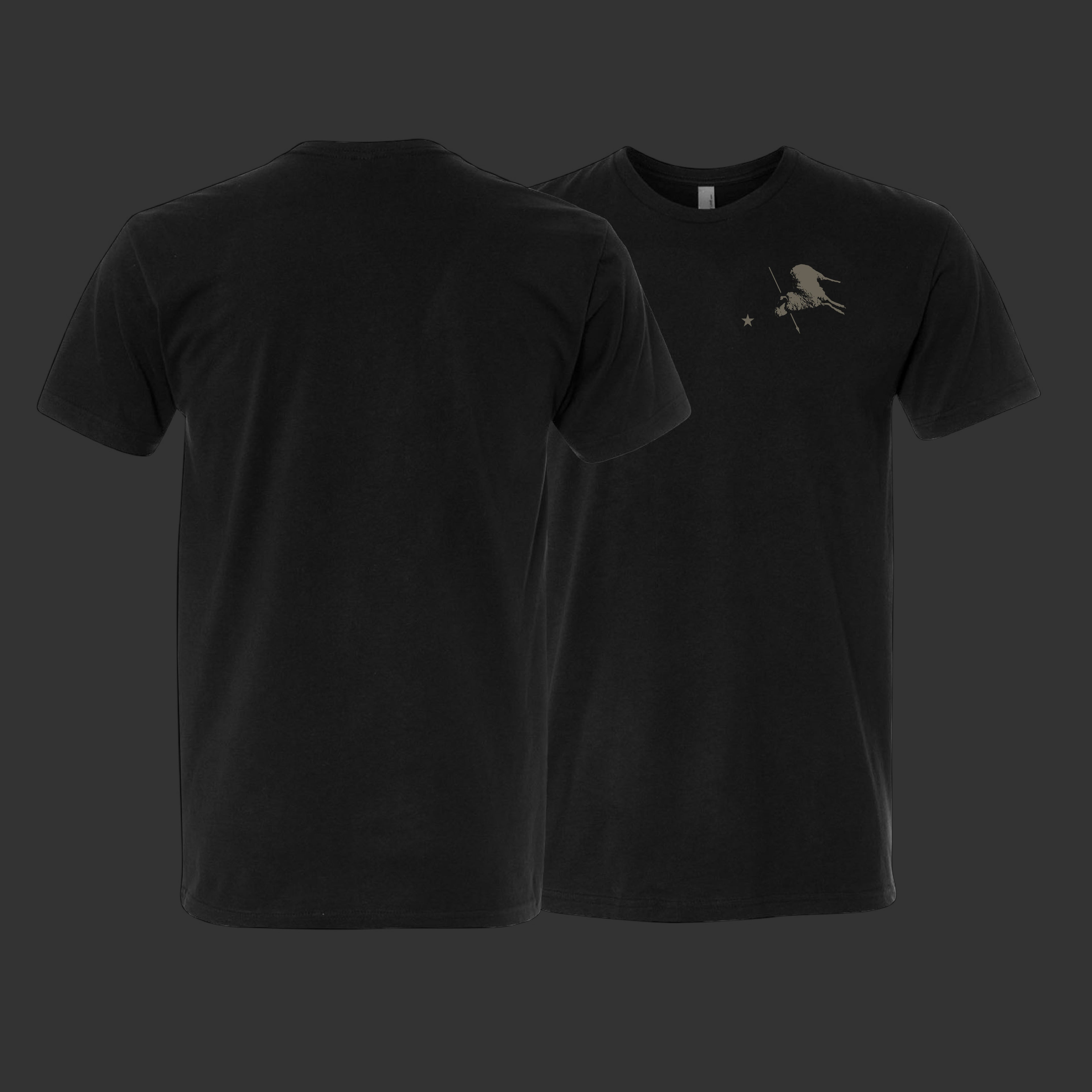 LAPEL STANDARD (subdued)